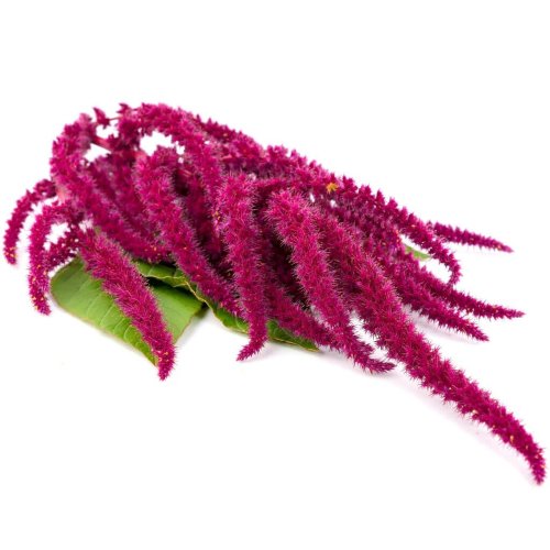 Водно-глицериновый экстракт Амаранта  