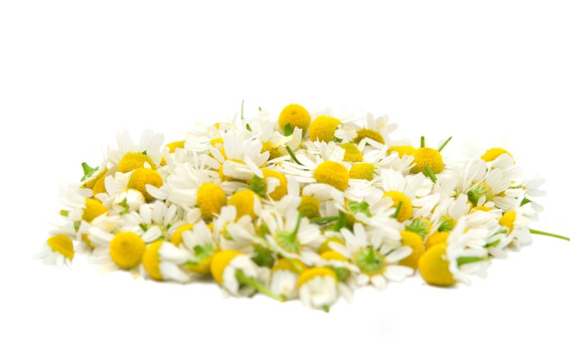 Эфирное масло Ромашки лекарственной  